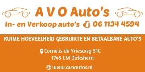 AVO Auto s logo-banner _1_
